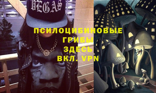 стафф Бронницы