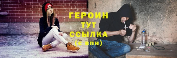 индика Бежецк